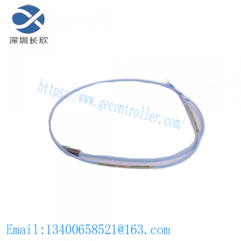 ABB AO2020: Industrial Control Module