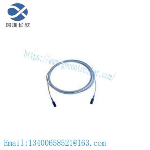 BENTLY NEVADA 330106-05-30-05-12-CN: Short Delivery Time Precision Control Module