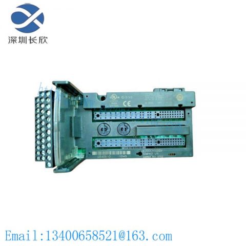 GE IC200CHS022J Analog Input Module