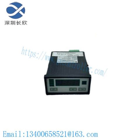 Negele Process Display DPM-GS-2GW-S Digital Display