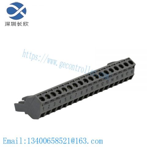 Schneider Electric's 170XTS00100 Screw Terminal Block for Modicon Momentum PLCs