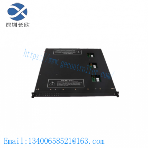 TRICONEX 9561-810 High-Availability I/O Module
