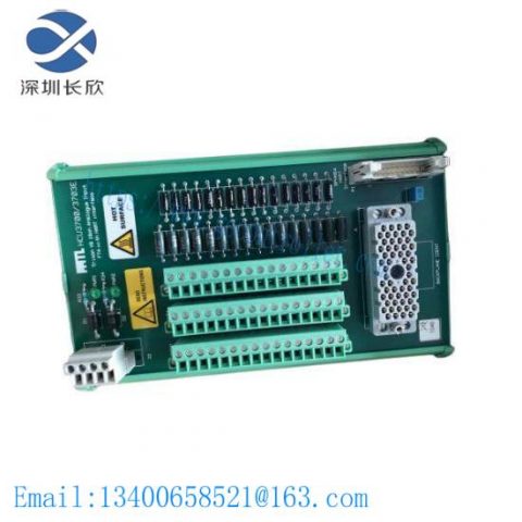 TRICONEX JWA600-24 Digital Input Module