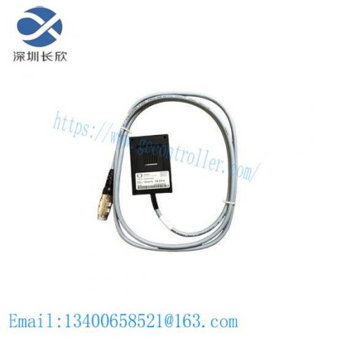 PASAN 200035 / 200035 Switch Sensor - Precision Control for Industrial Automation